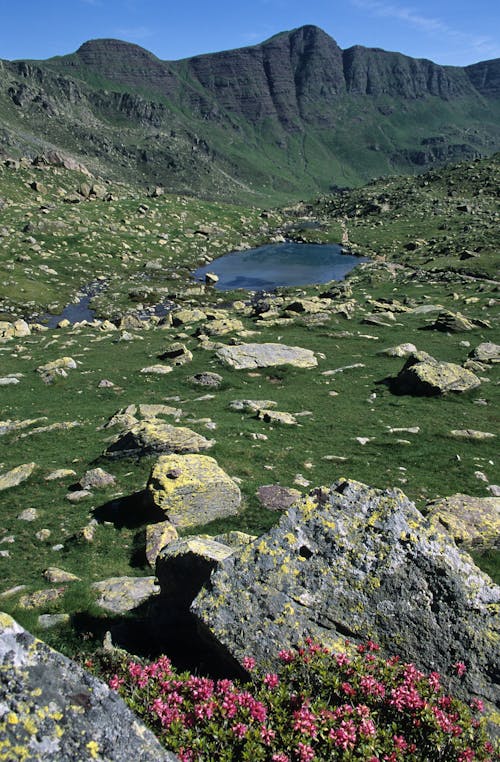 Základová fotografie zdarma na téma hora, jezero, kameny