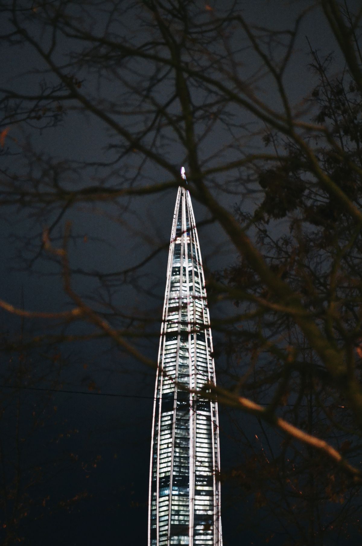 Lotte World Tower at night, framed by tree branches.