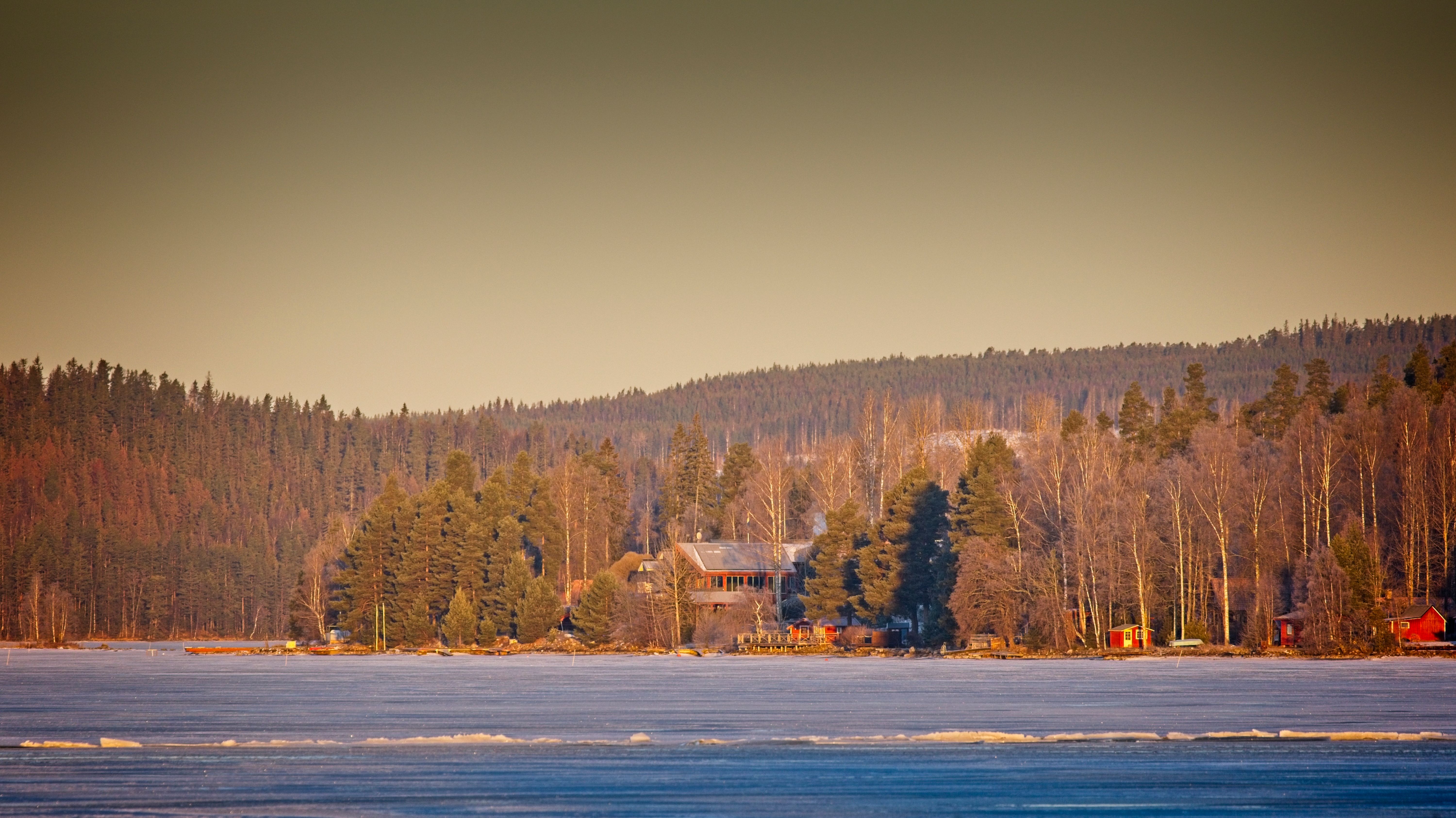 Frozen lake and evergreen forest in Ludvika, Sweden during winter.