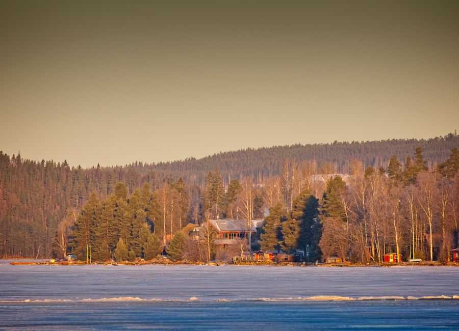Frozen lake and evergreen forest in Ludvika, Sweden during winter.