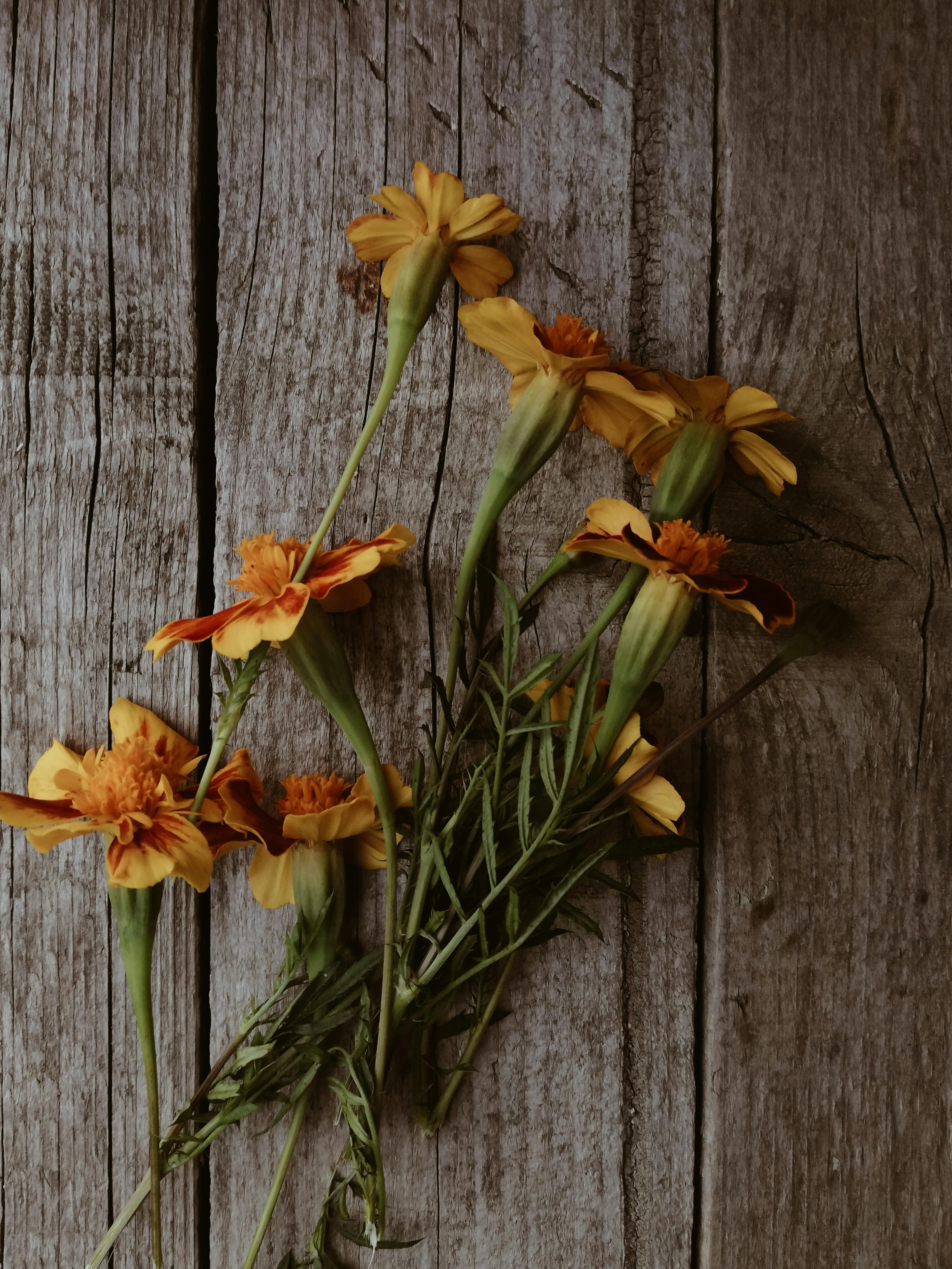 A rustic arrangement of orange marigolds on textured wooden planks, evoking a vintage feel.