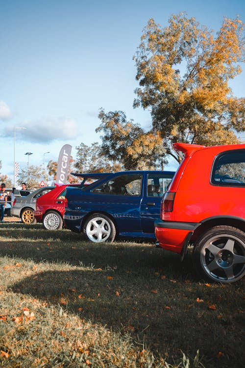 Fotobanka s bezplatnými fotkami na tému autá, auto zrkadlo, automobil