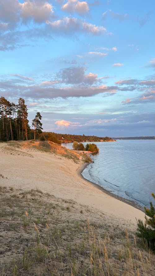 Lake and Beach on the Lakeshore 