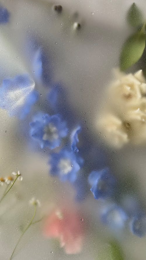 Flower under the Water