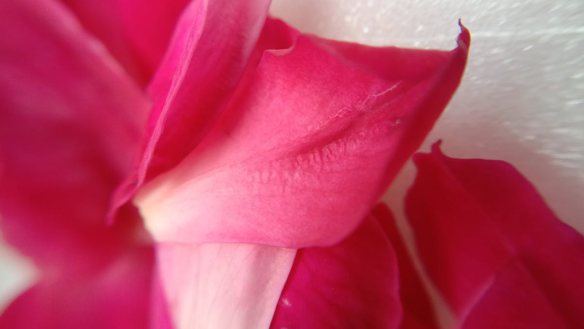 Foamy mushroom latte in a ceramic mug topped with cinnamon