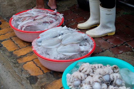Close-up of fresh squid and octopus on ice in bowls at an outdoor market.