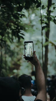 A person holds a smartphone to capture a forest adventure, highlighting the blend of technology and nature.