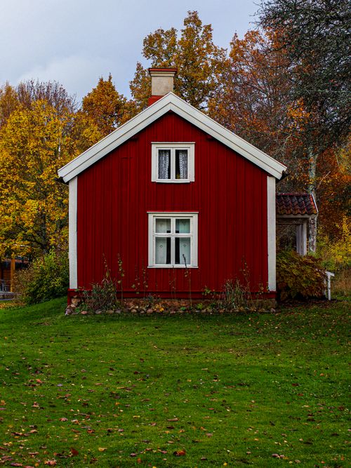 Free A picturesque red wooden cottage surrounded by vibrant autumn foliage and green lawn under a cloudy sky. Stock Photo