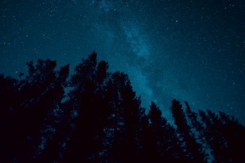 Free A breathtaking view of the Milky Way galaxy over silhouetted trees in Bozeman, Montana, USA. Stock Photo
