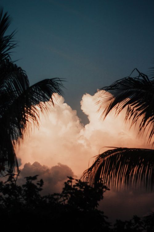 Free Dramatic sunset sky over Bagua Grande, Peru, featuring palm tree silhouettes and colorful clouds. Stock Photo