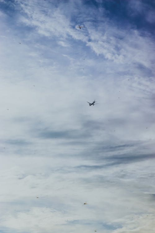 天空, 平面, 戲劇性的天空 的 免費圖庫相片