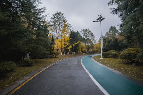 Asphalt Path through Park