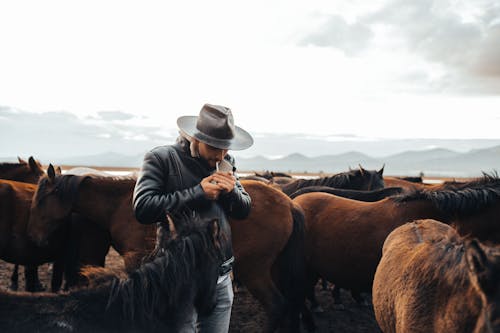 Man in a Leather Jacket and Hat Standing among Horses on a Pasture · Free Stock Photo