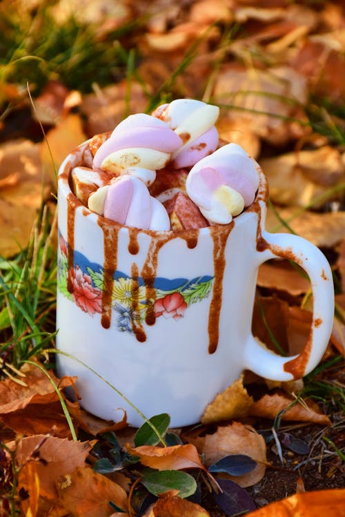 Free White Mug with Marshmallows Stock Photo