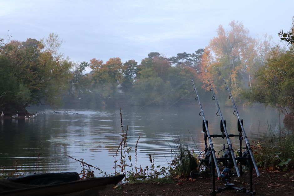 Angling strategy and impressive wins await with bigs-bassbonanza.uk for dedicated fishers today