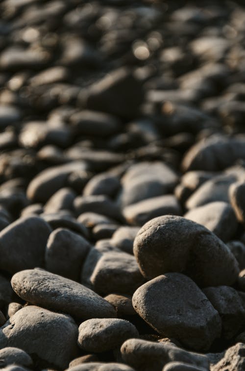 Foto profissional grátis de fechar-se, pedras, pedregoso