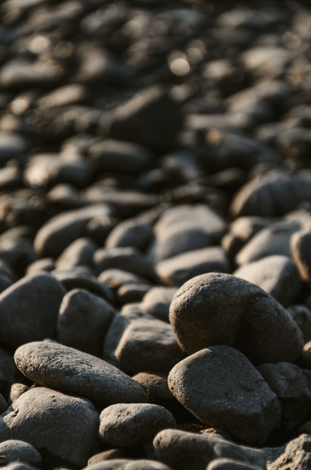 Picture Showing Rocks Close-Up Photo of Rocks · Free Stock Photo