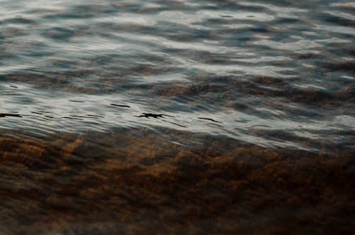 Close up of Water 