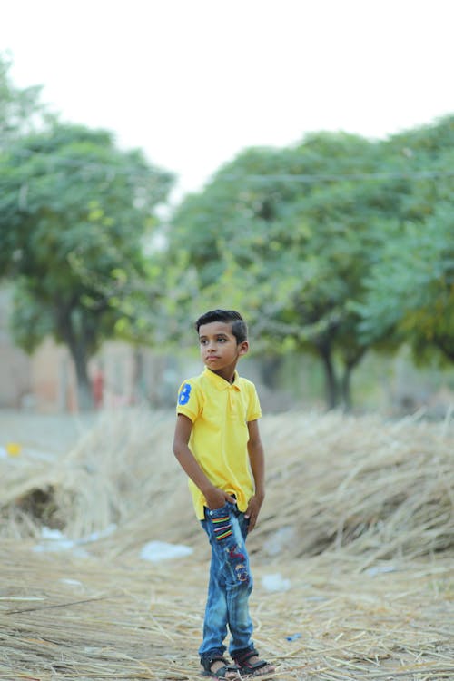 Portrait of a Boy Standing in a Field 