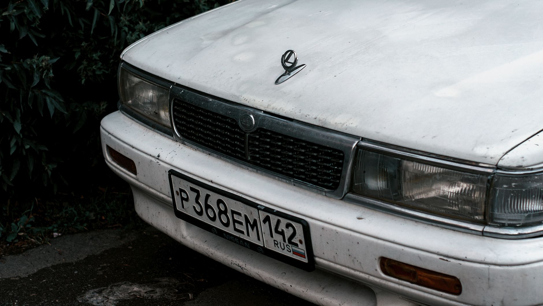 Close up of White Lada