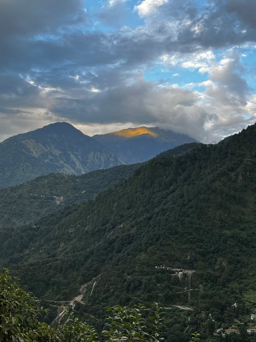 Foto stok gratis awan, berhutan, langit biru