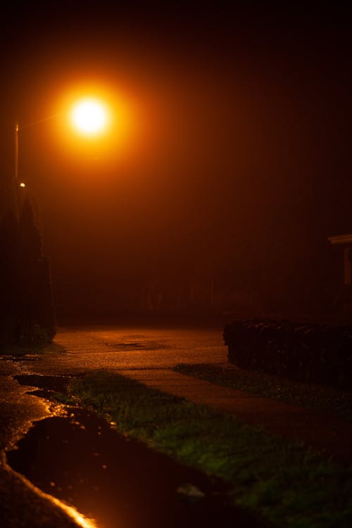 Gratis stockfoto met geel licht, natte weg, straatfotografie