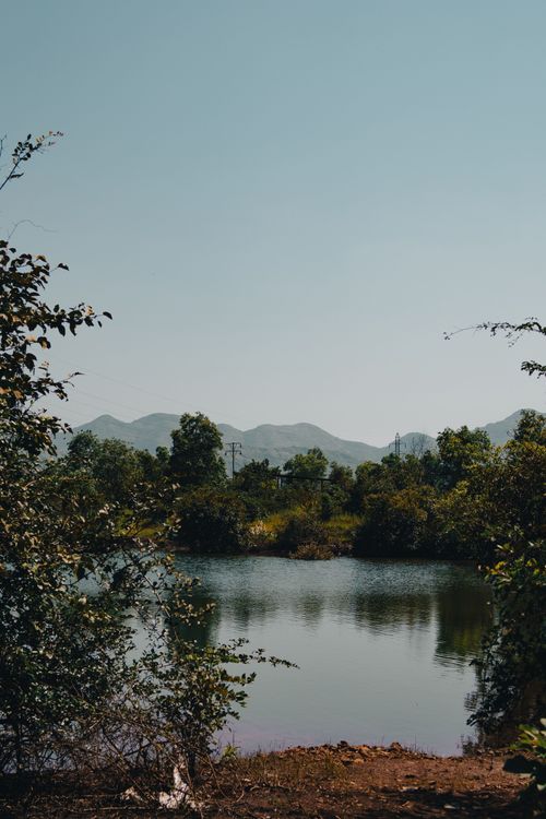 Free A tranquil view of Mulshi Lake with lush greenery and distant mountains under a clear sky. Stock Photo