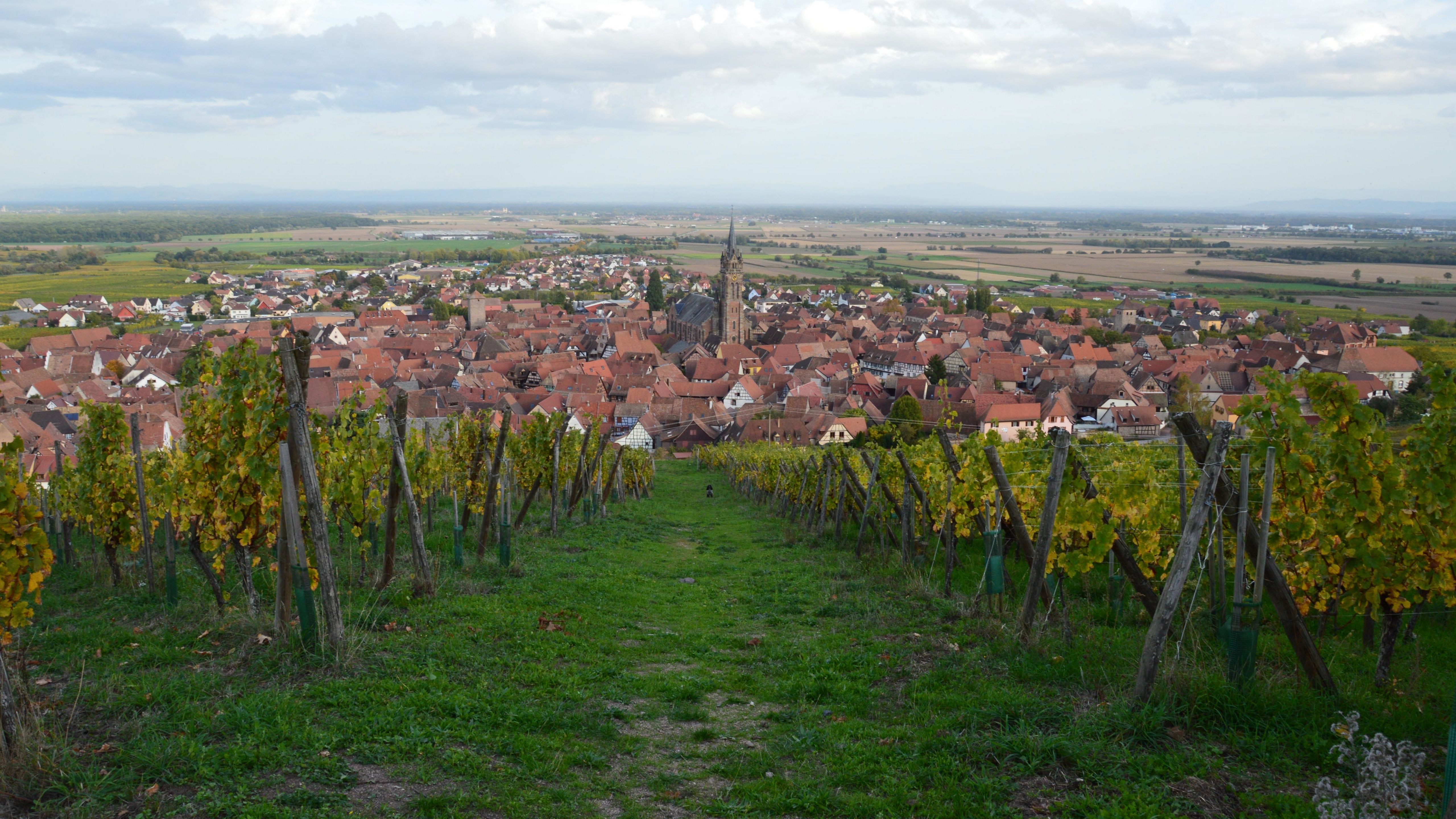 Weingraben