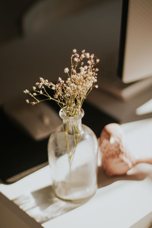 Free A clear glass vase holding dried flowers, illuminated by warm sunlight on a table. Stock Photo