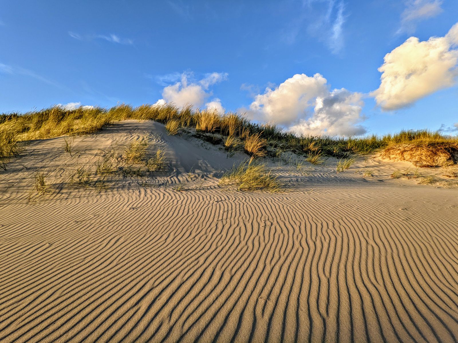 Peaceful sand dunes on Texel