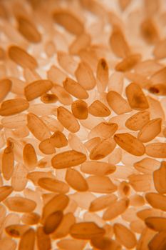 Brown Rice Gluten Free Sprouted Brown Rice Crisps — kidney-friendly food