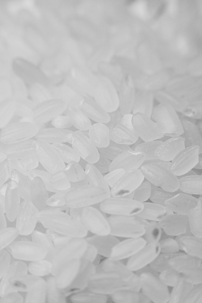 3,000+ Best Rice Photos · 100% Free Download · Pexels Stock Photos