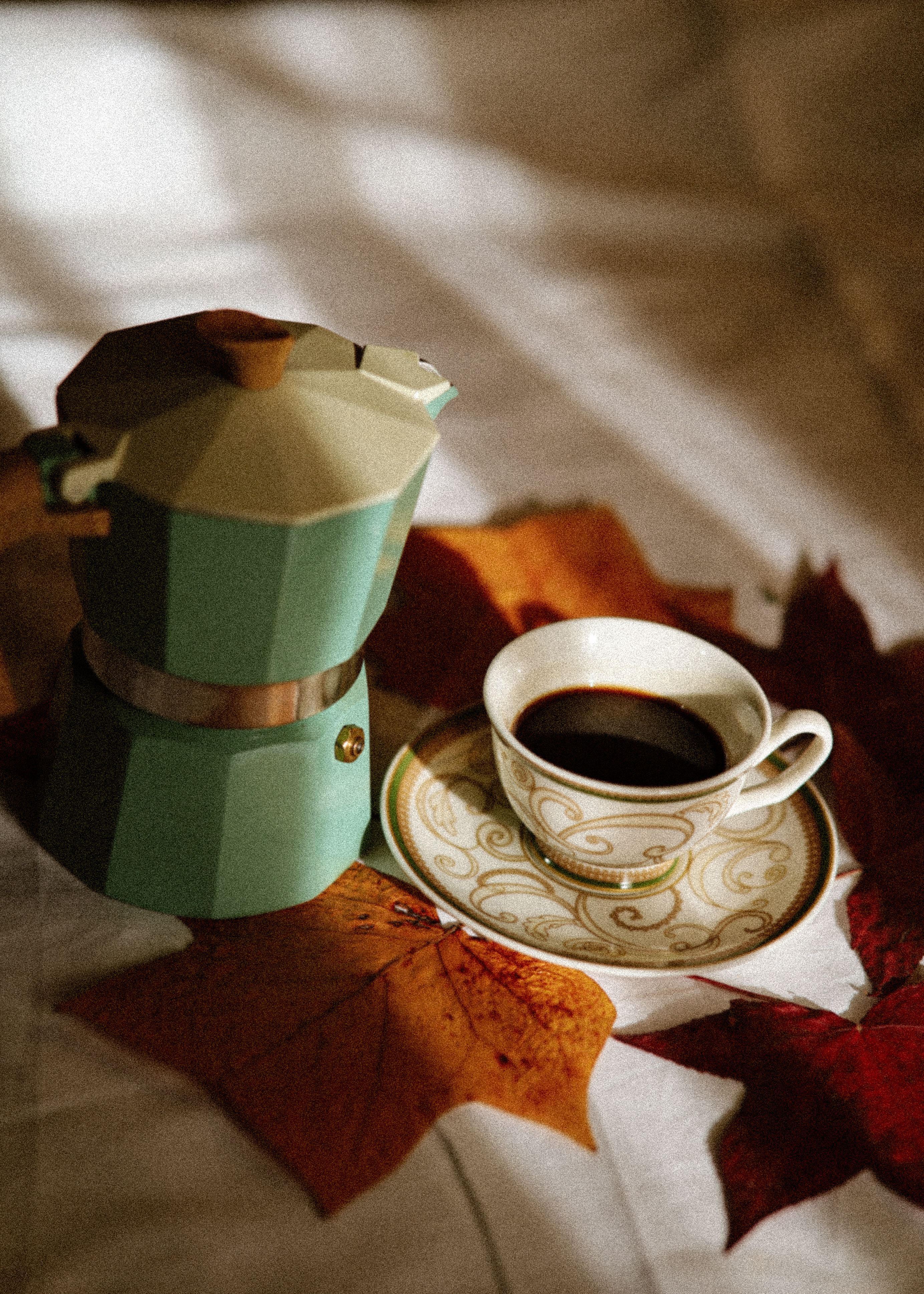 Elegant coffee setup with moka pot and cup amidst autumn leaves.