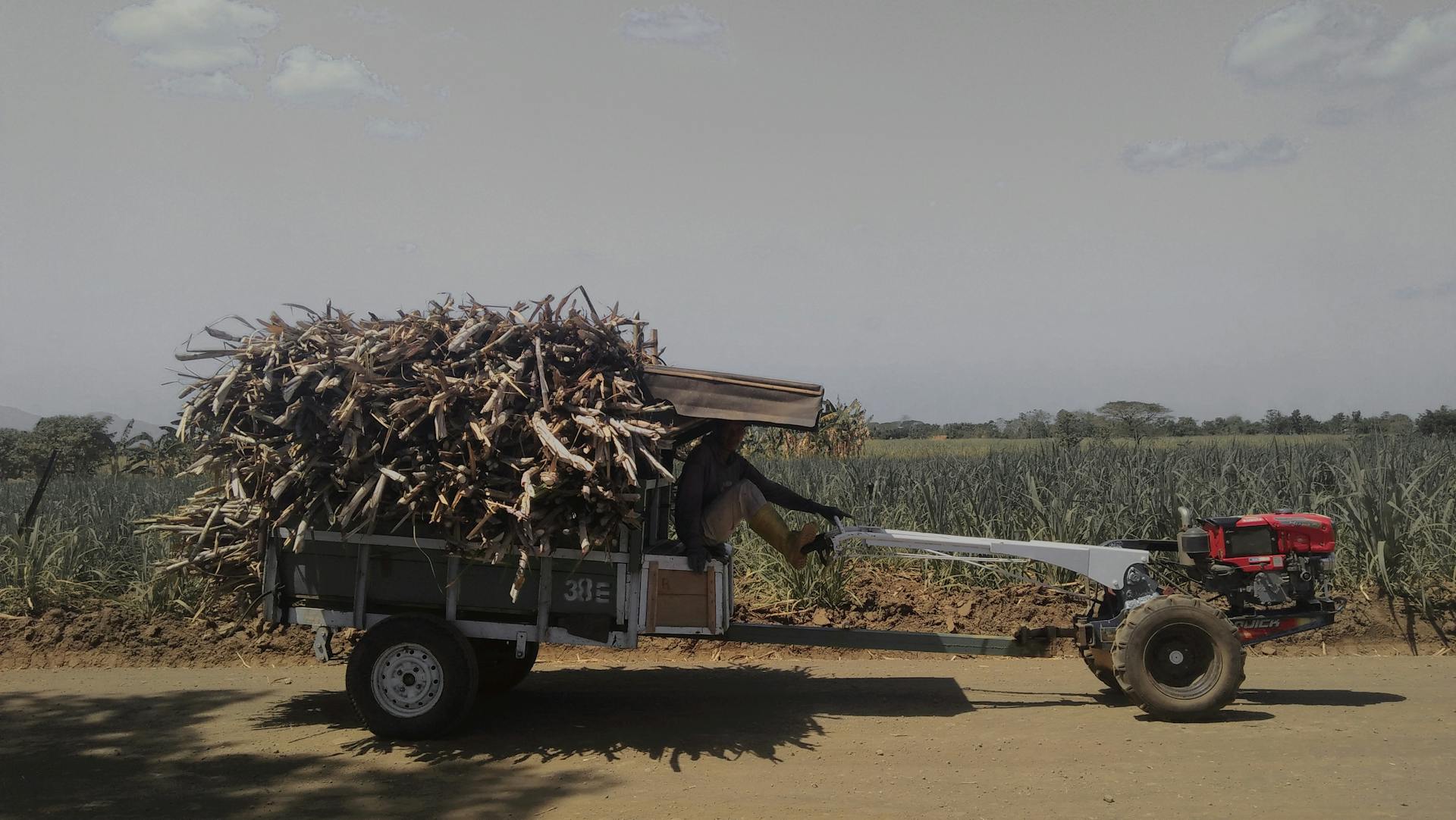 Man Sitting under Wood on Trailer
