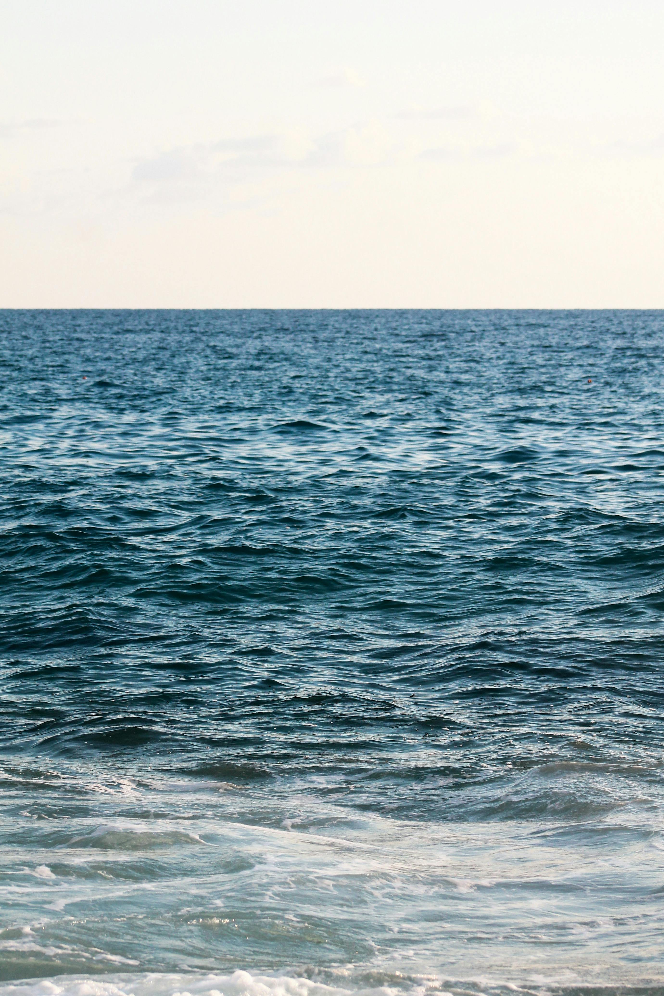 Where is the most testosterone in your body?