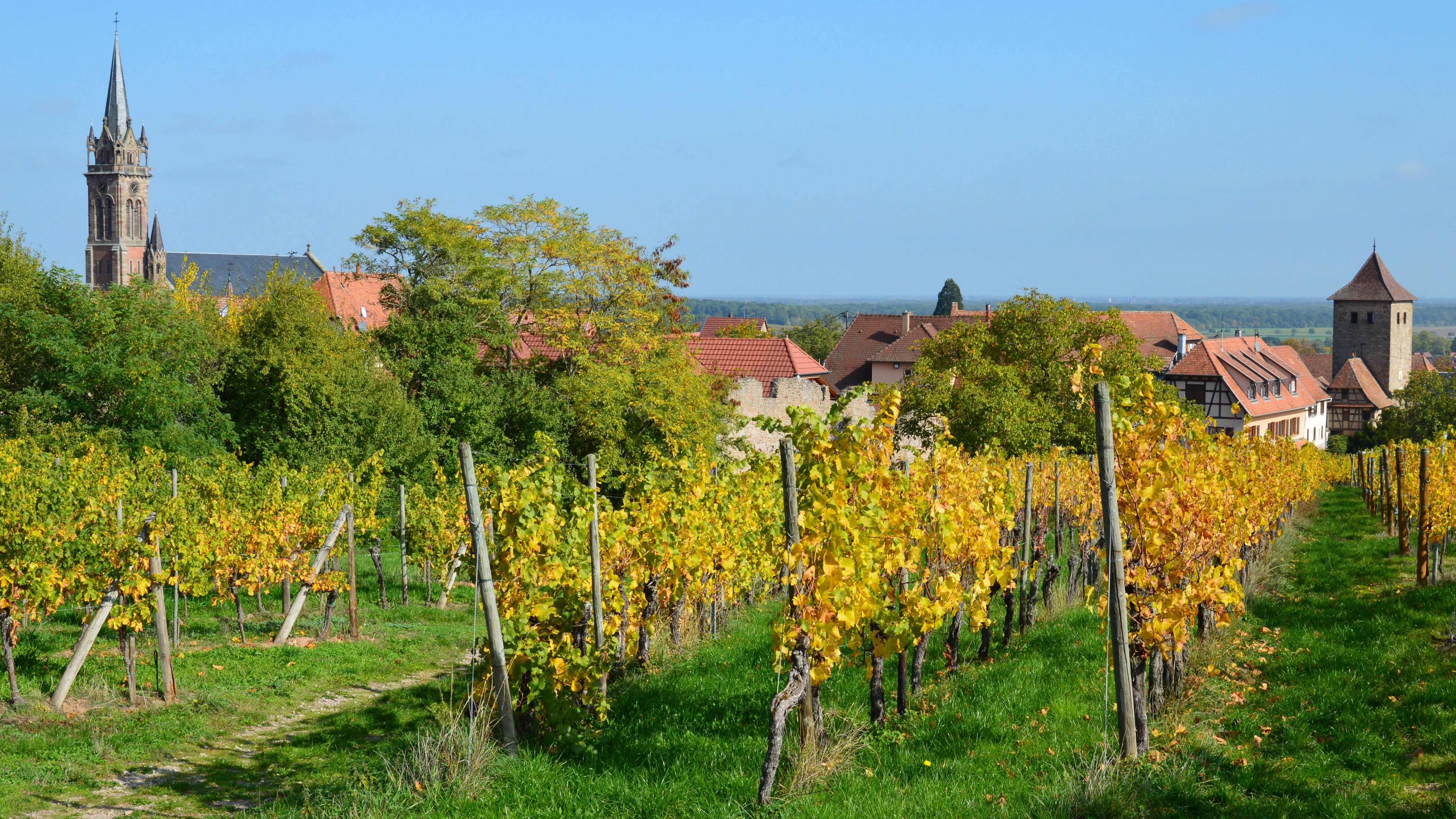 Martinsberg
