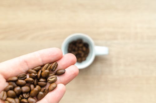 Free Coffee Beans on Left Hand Stock Photo