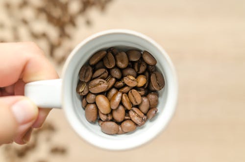 Person Holding White Mug With Coffee Beans