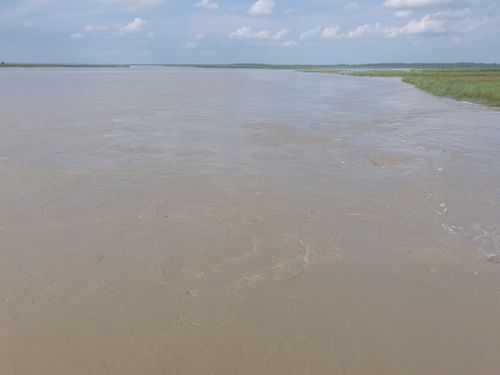 Free stock photo of above water, clean water, full river water fol Stock Photo