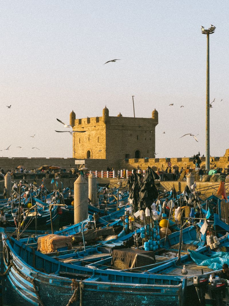Essaouira blue fishing boats and ramparts
