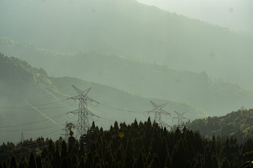 Základová fotografie zdarma na téma elektrické vedení, krásná krajina, tmavě zelená