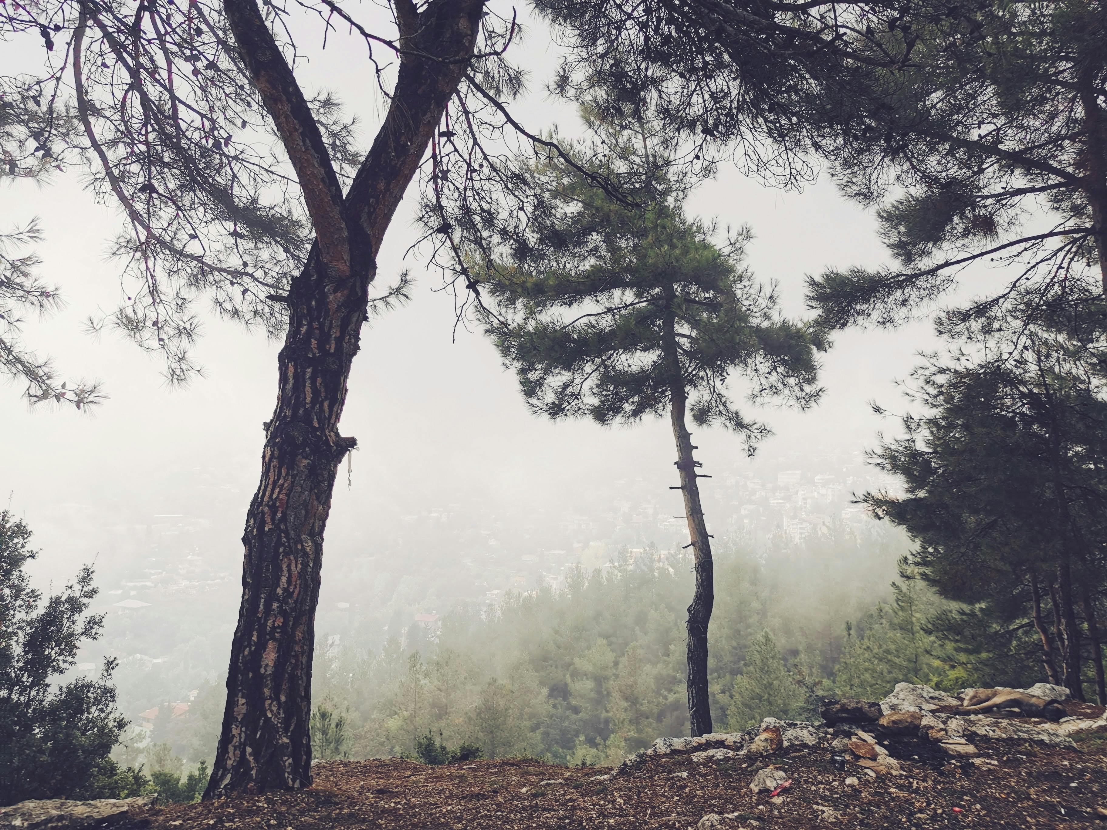 Cedars-Sinai Event Explores Ethics of Longevity Science | Newswise — Photo by Mehmet Turgut  Kirkgoz on Pexels