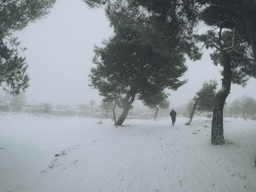 A Grayscale Photo of a Person Walking on a Snow Covered Ground