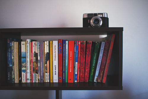 Free A vibrant assortment of books neatly arranged on a shelf with a classic camera on top. Stock Photo