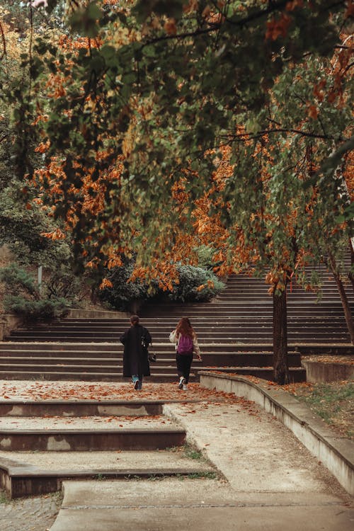 Women Walking at Park in Autumn
