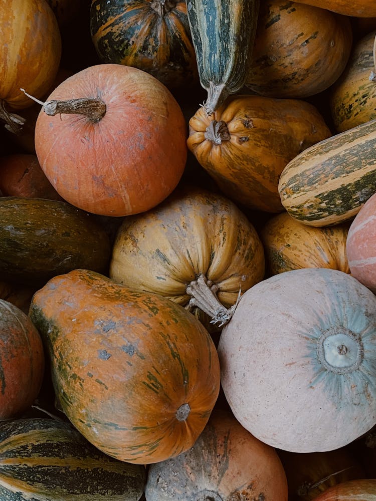 Pile Of Pumpkins