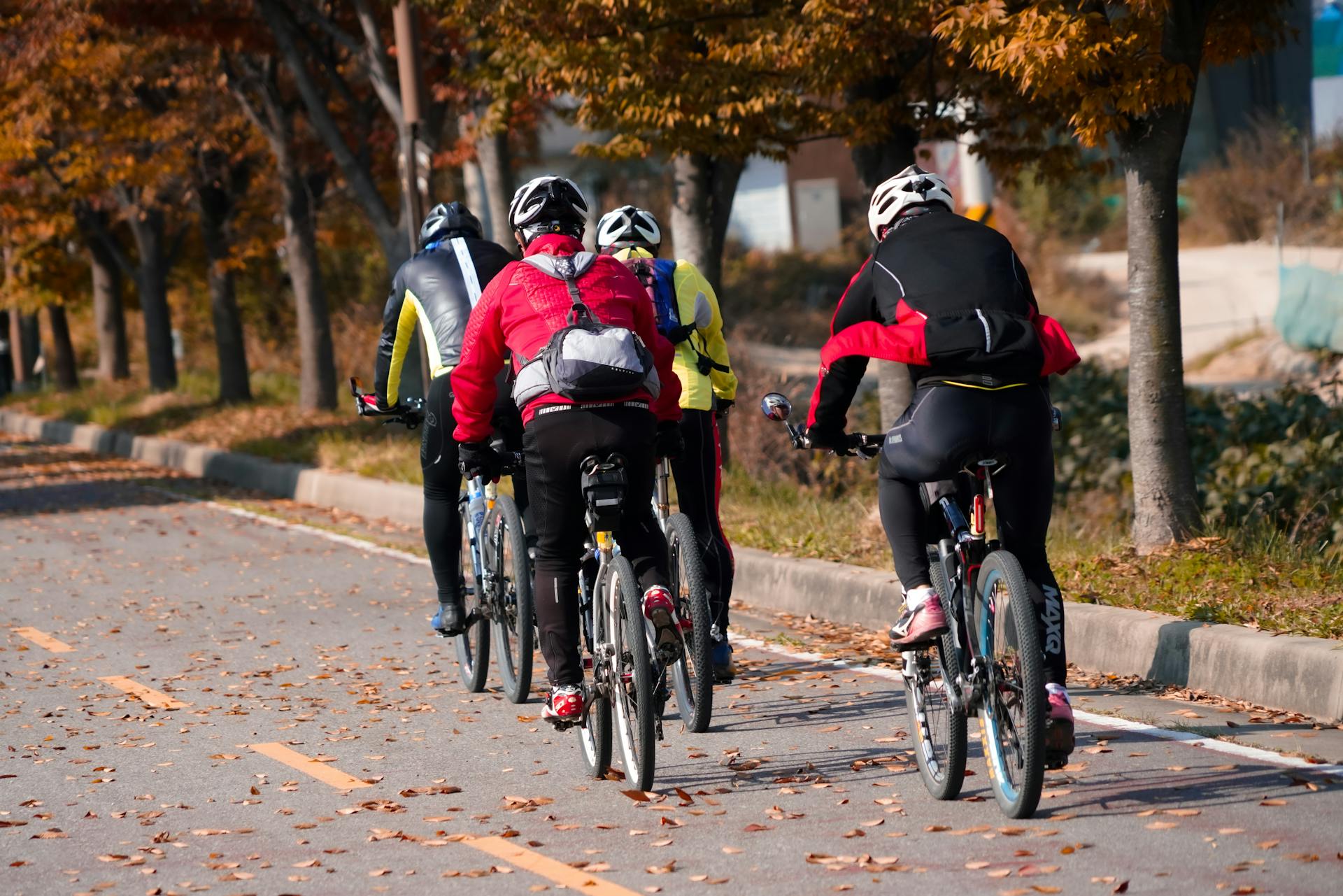 Four cyclists ride along a tree-lined road in autumn, enjoying an outdoor adventure.