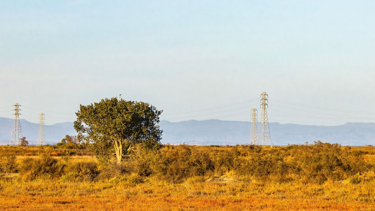 How to Enter Freebies in Bakersfield, California Without Scams