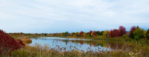 Бесплатное стоковое фото с деревья, красивый пейзаж, озеро