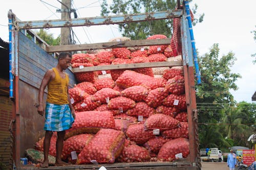 Foto profissional grátis de alforjes, alimento, caminhão